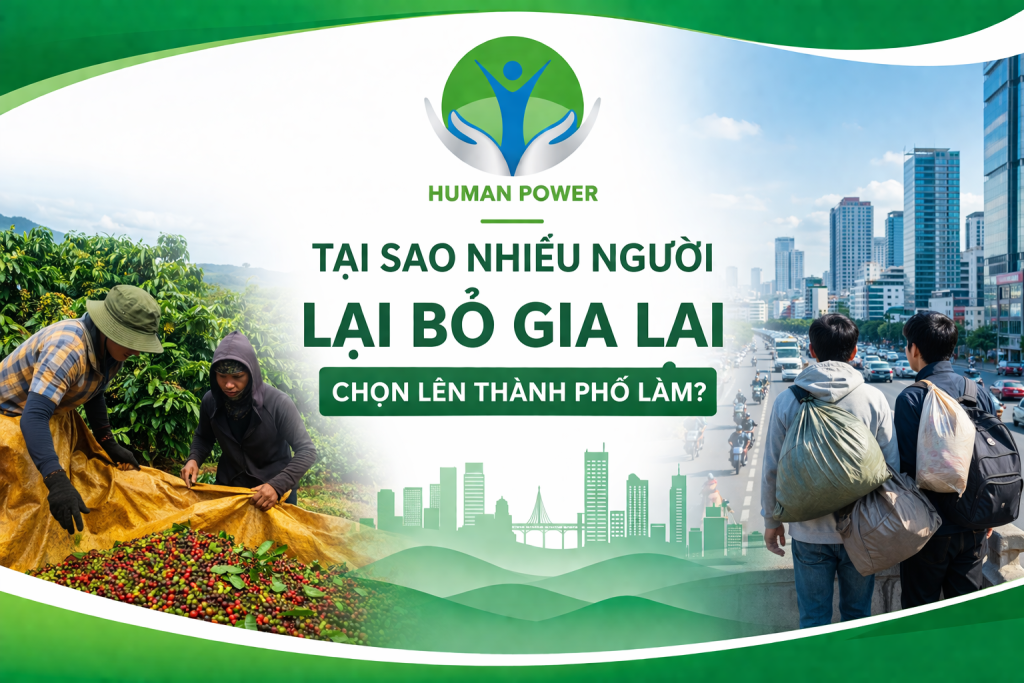 cung ứng lao động gia lai