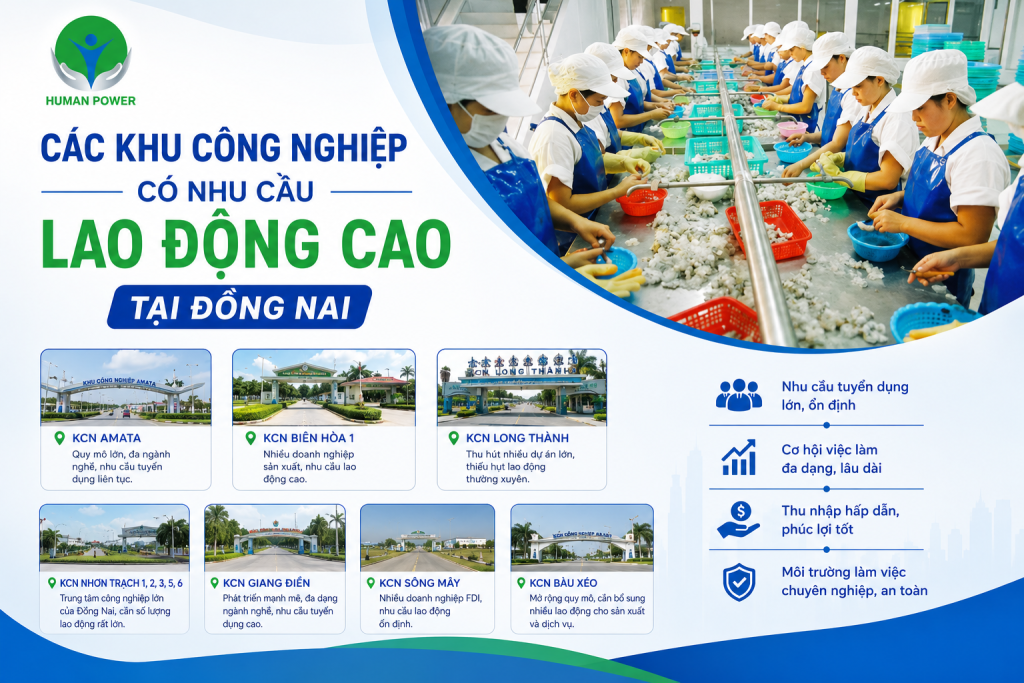 Cung ứng lao động