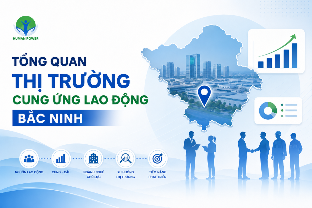 Cung ứng lao động