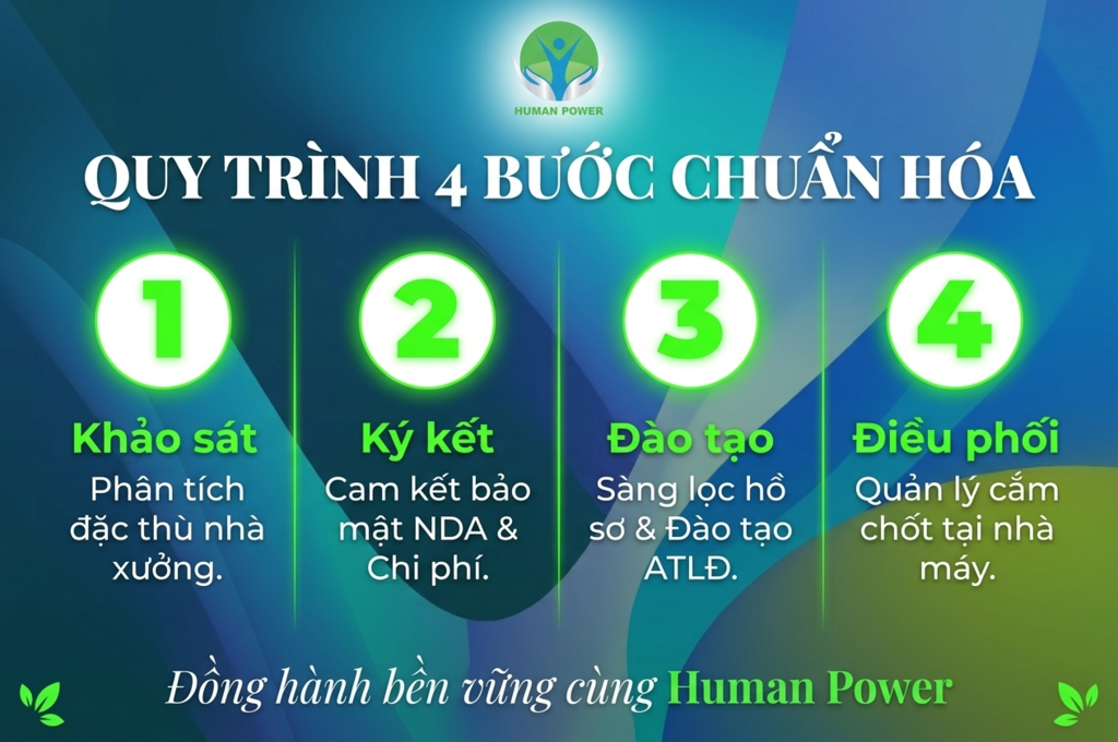 Dịch vụ cung ứng lao động chính quy