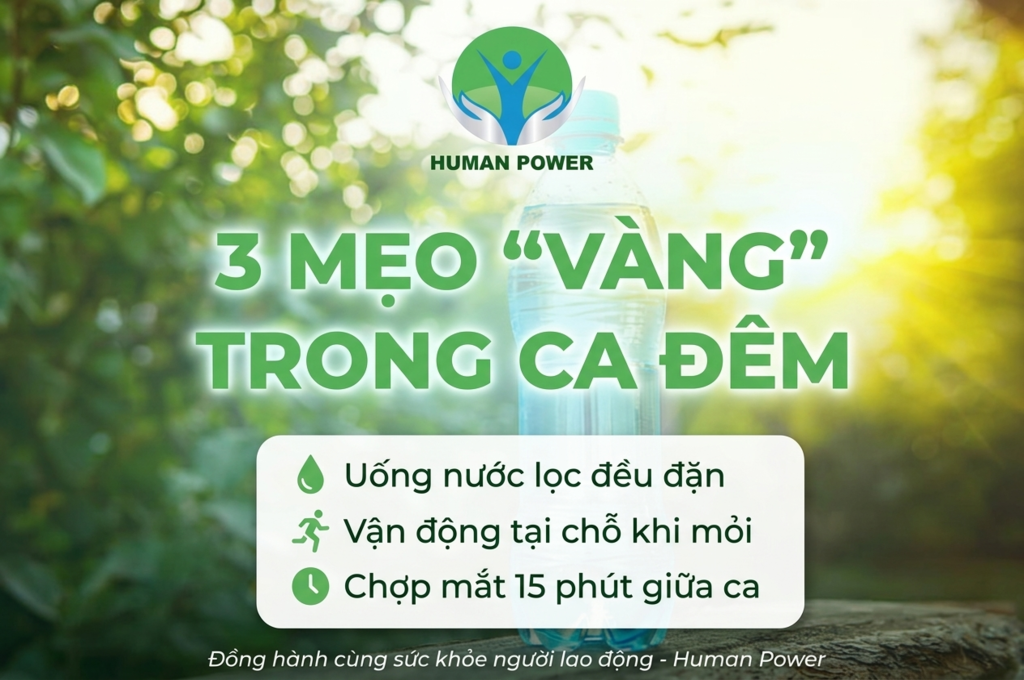 5 Mẹo Vàng: Kinh Nghiệm Làm Ca Đêm Cho Người Mới Khỏe Re