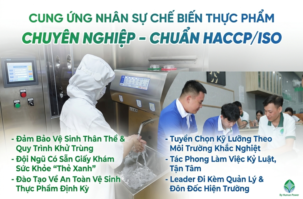 GIẢI PHÁP CUNG ỨNG LAO ĐỘNG CHẾ BIẾN THỰC PHẨM TỐI ƯU NĂM 2026