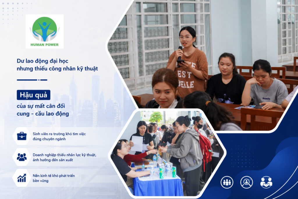 cung cấp lao động