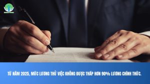  hợp đồng thử việc không được thấp 90%