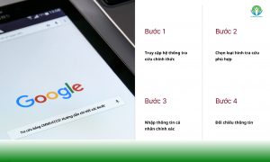 quy trình tra cứu