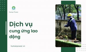dịch vụ cung ứng lao động 2025