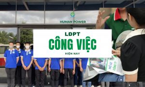 công việc lđpt hiện nay