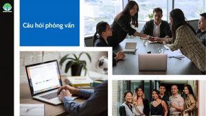 Câu hỏi phỏng vấn