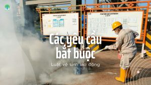 Các yêu cầu bắt buộc
