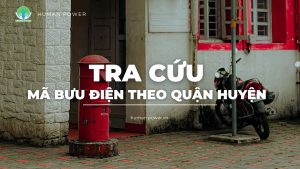 tra cứu