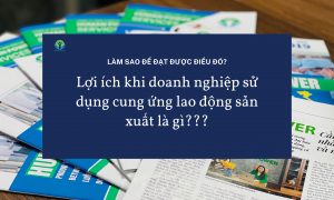 Lợi ích khi doanh nghiệp sử dụng cung ứng