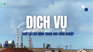 DICH VỤ