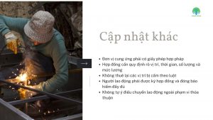 Cập nhật khác