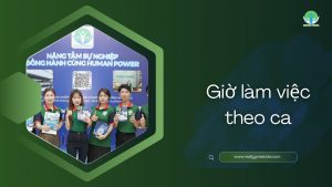 giờ làm việc theo ca