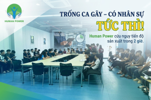 Dịch vụ cung ứng lao động tức thì