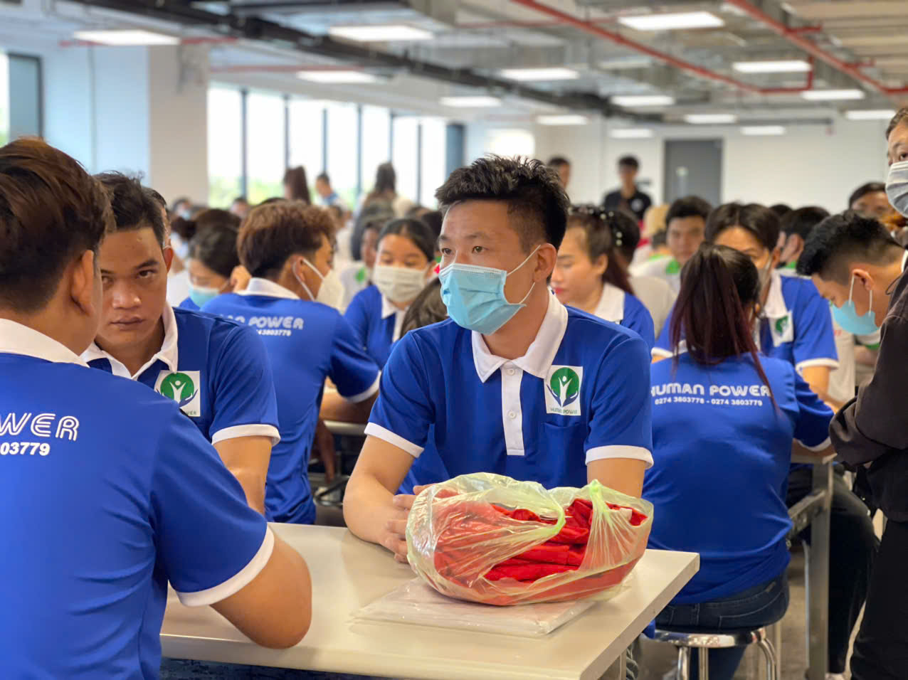 Lao Động Thời Vụ Hay Tuyển Chính Thức