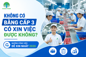 Không Có Bằng Cấp 3 Có Xin Việc Được Không
