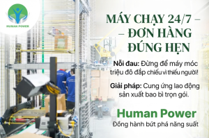 Xu Hướng Cung ứng lao động sản xuất bao bì Năm 2026: Giải Pháp Nhân Sự Tối Ưu