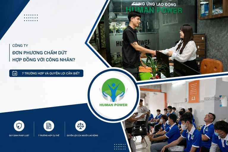 đơn phương chấm dứt hợp đồng