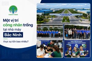 cung ứng lao động bắc ninh