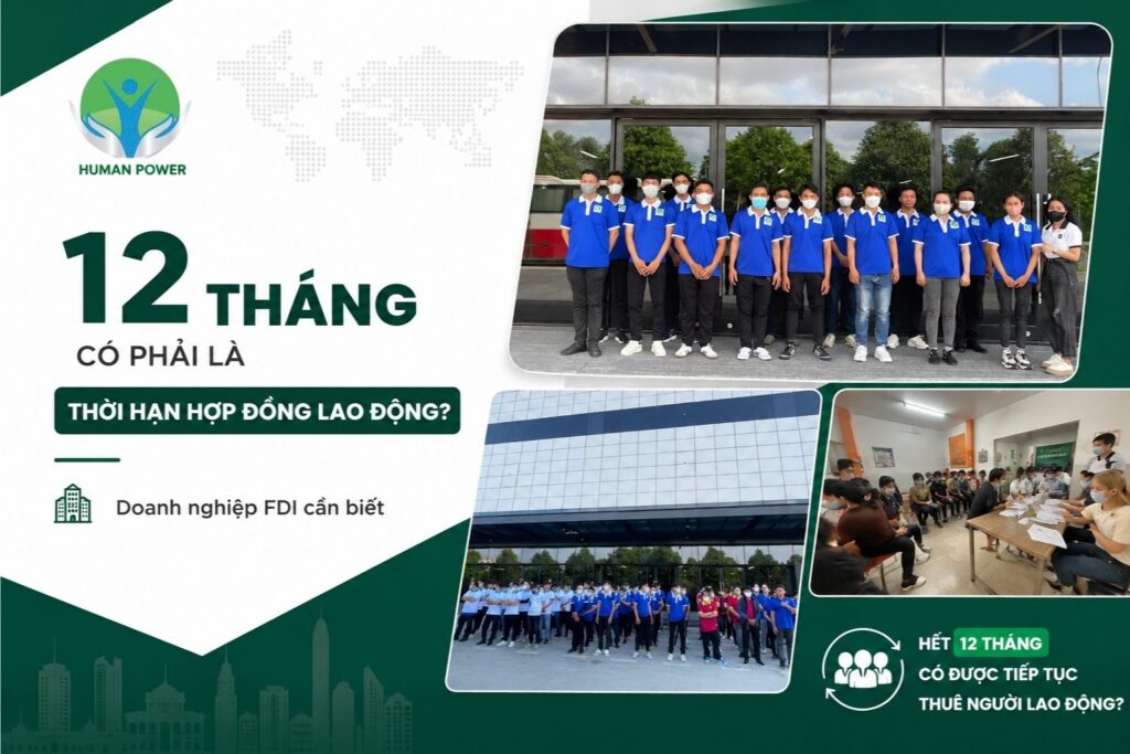 thuê lại lao động