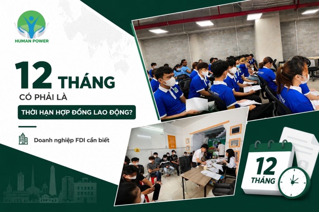 thuê lại lao động