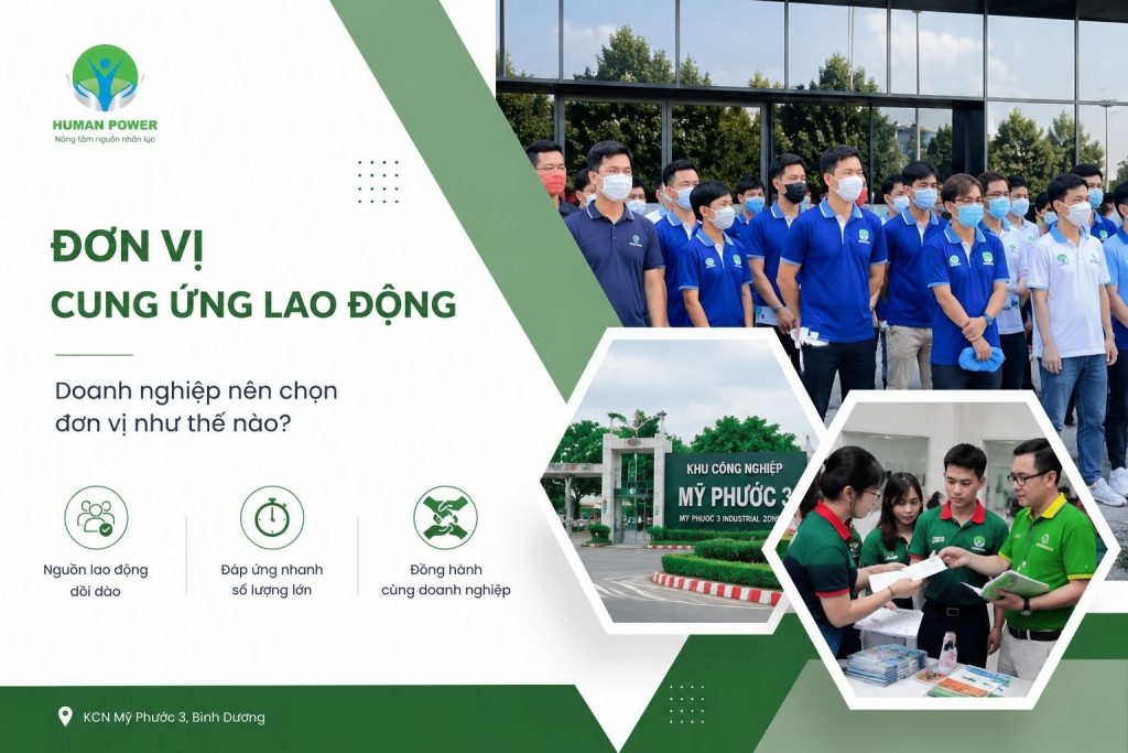 đơn vị cung ứng lao động
