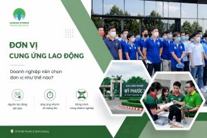 đơn vị cung ứng lao động