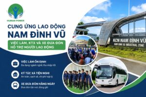 cung ứng lao động nam đình vũ