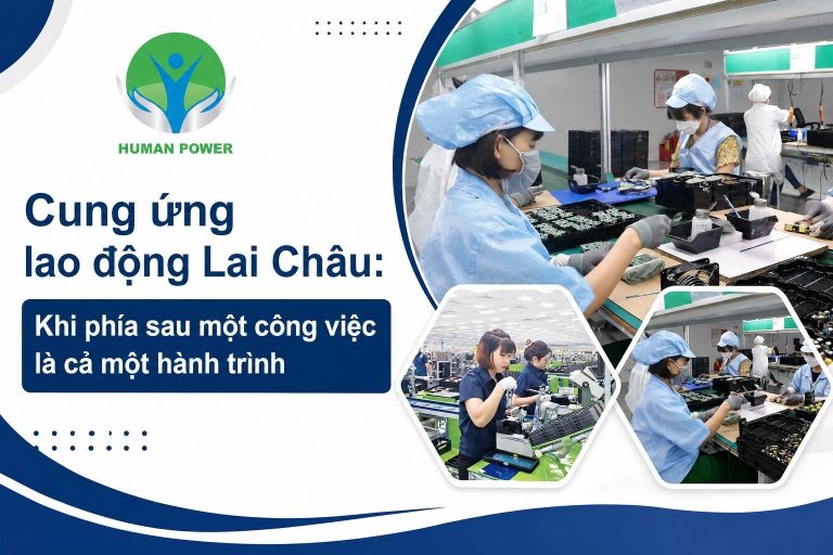 cung ứng lao động lai châu