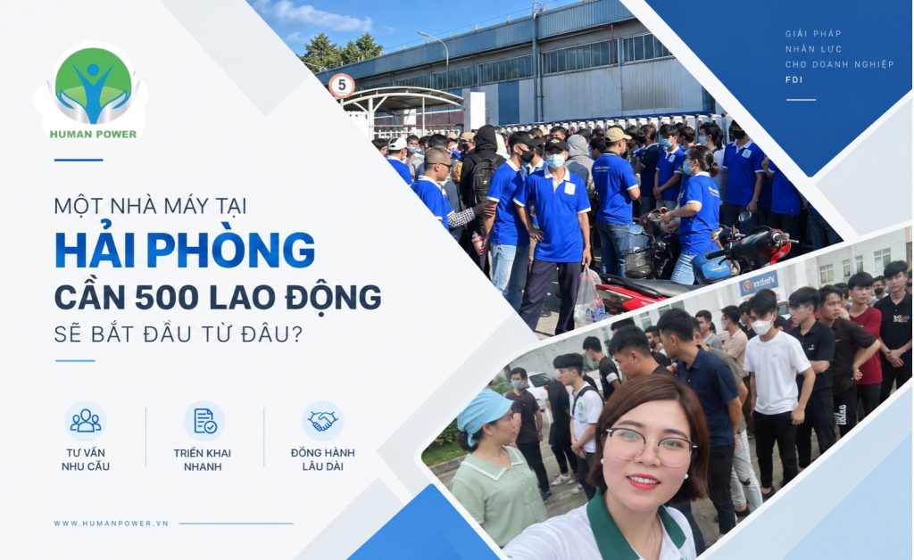cung ứng lao động