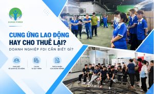 cung ứng lao động