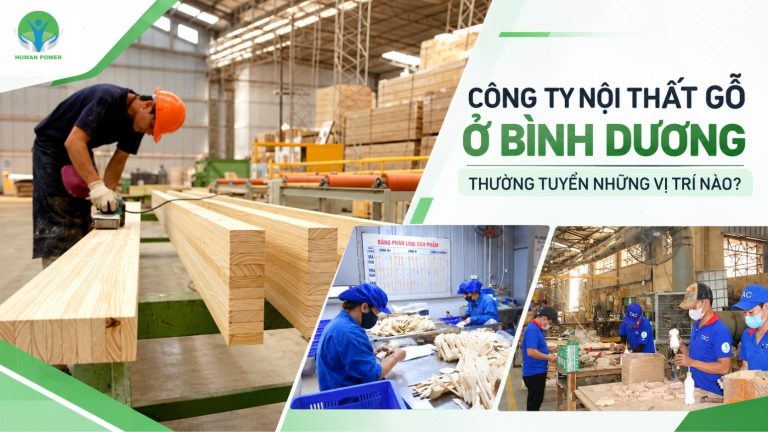 công ty nội thất gỗ Bình Dương